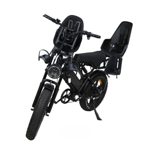 V20 Familie Fatbike