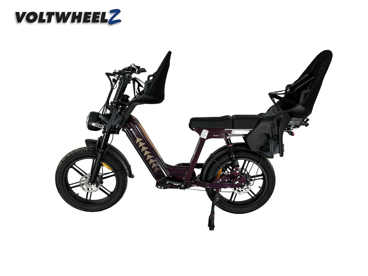 D50 Family Bike met voor en achterzitje