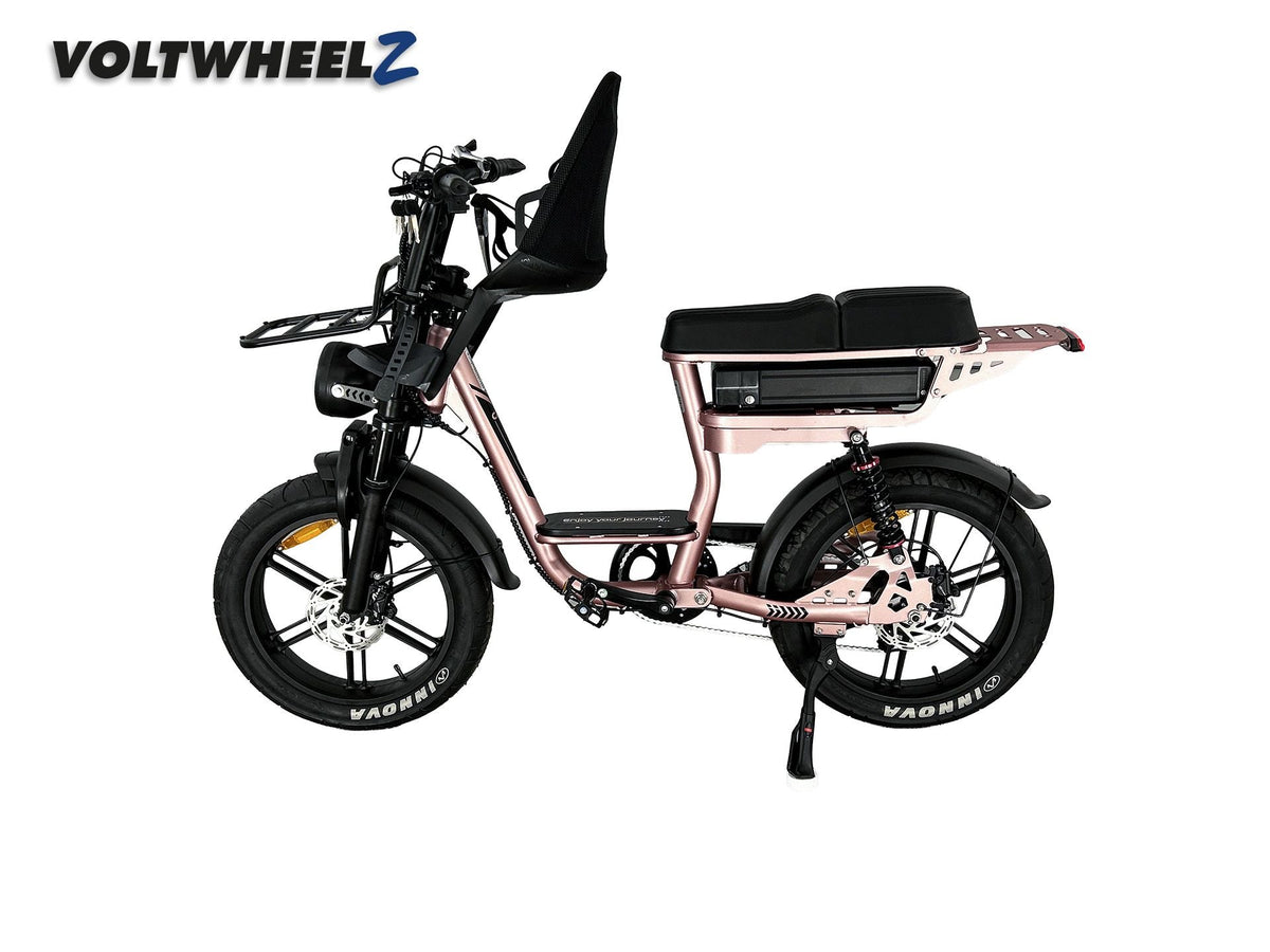 V20 Comfort Family Bike met voorzitje