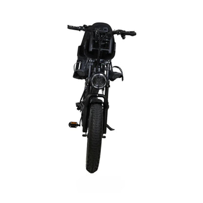 V20 Familie Fatbike