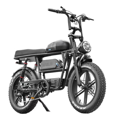 V20 Dubbele Batterij