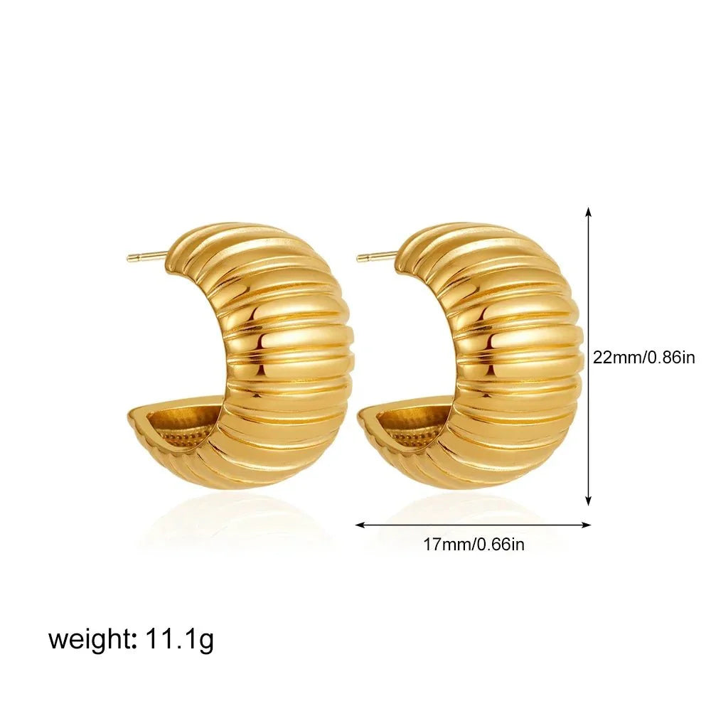 Jannet Chunky Hoop Earrings
