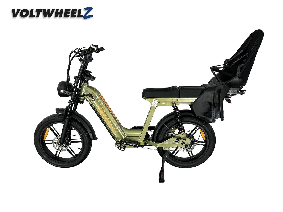 D50 Family Bike met achterzitje