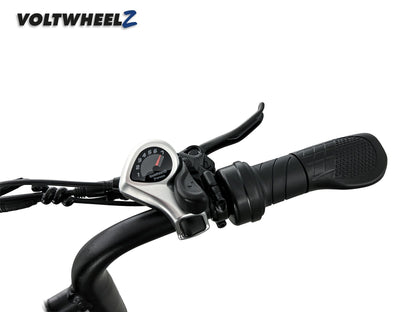 D50 Family Bike met achterzitje