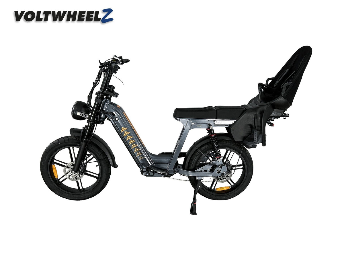 D50 Family Bike met achterzitje