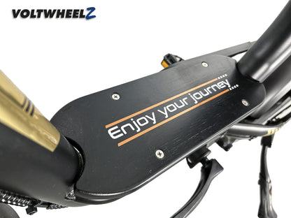 V20 Comfort Family Bike met achterzitje
