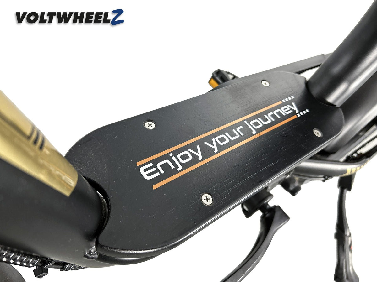 V20 Comfort Family Bike voor en achterzitje