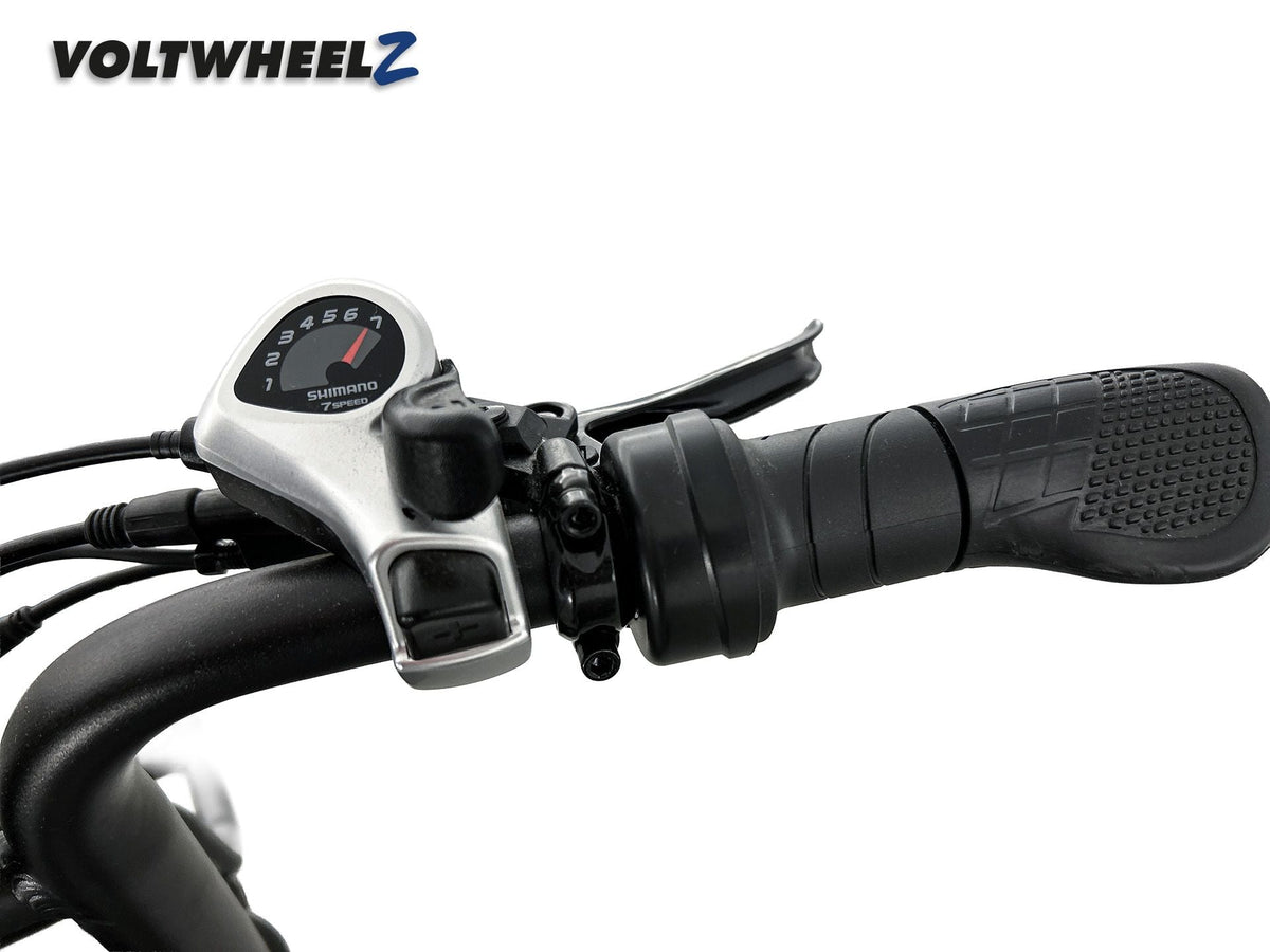 V20 Comfort Family Bike met achterzitje