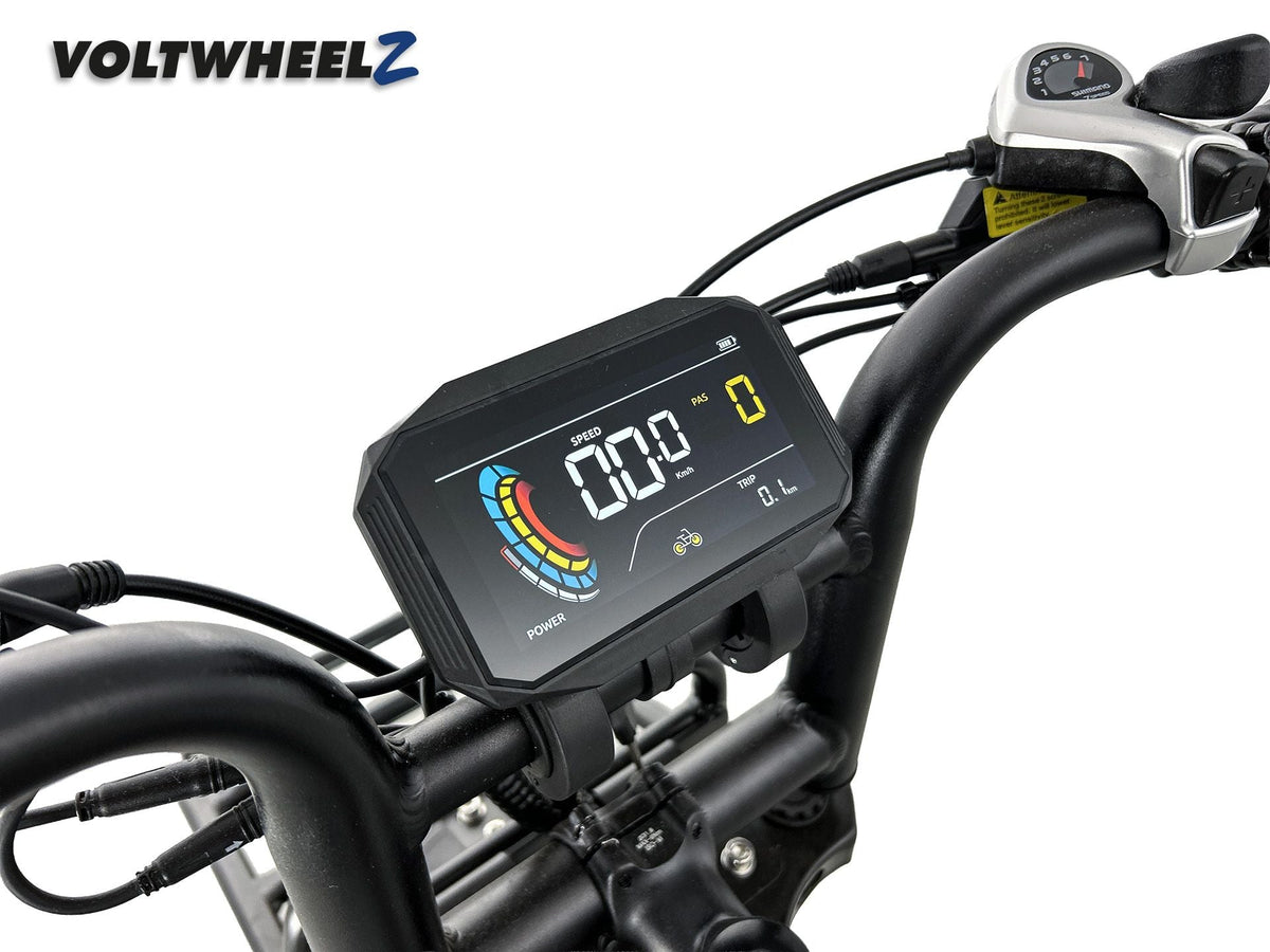 V20 Comfort Family Bike met achterzitje