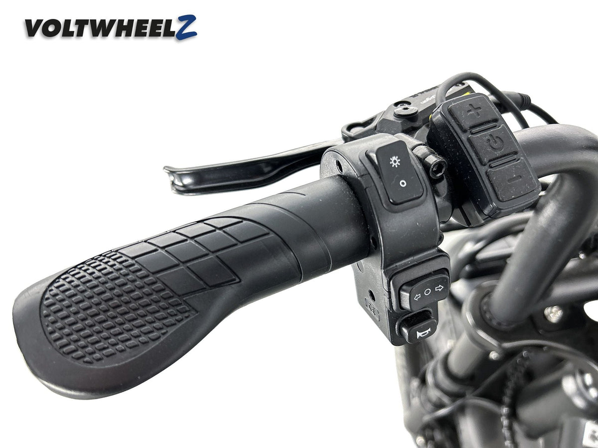 V20 Comfort Family Bike met achterzitje