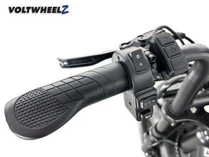 V20 Comfort Family Bike met achterzitje