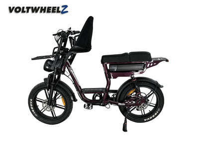 V20 Comfort Family Bike met voorzitje