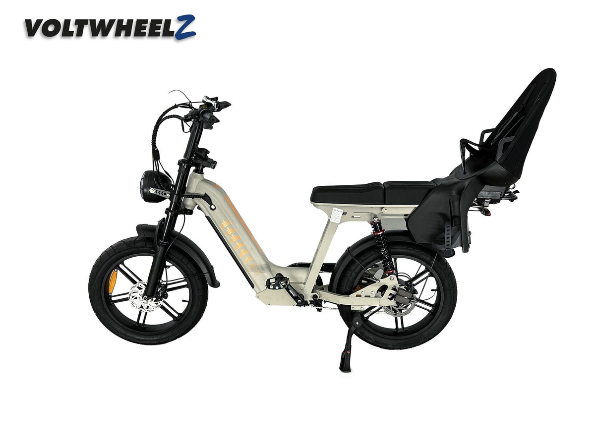 D50 Family Bike met achterzitje