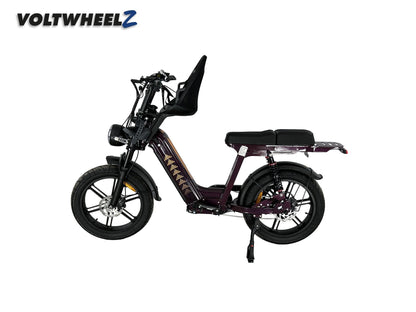 D50 Family Bike met voorzitje