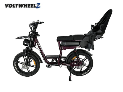 V20 Comfort Family Bike met achterzitje