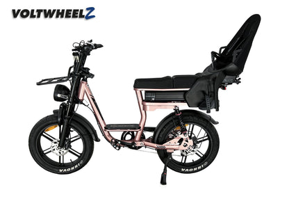 V20 Comfort Family Bike met achterzitje
